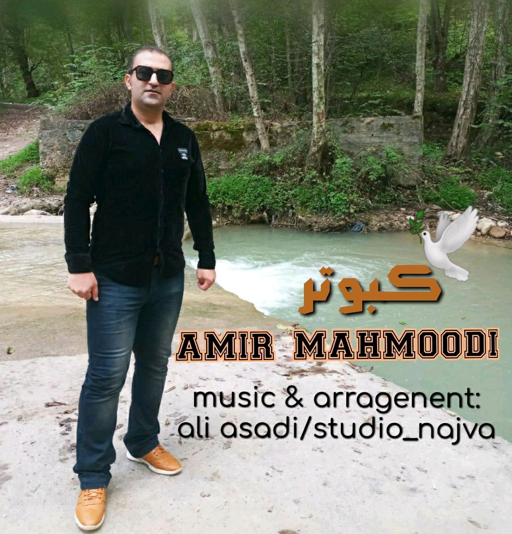 امیر محمودی کبوتر